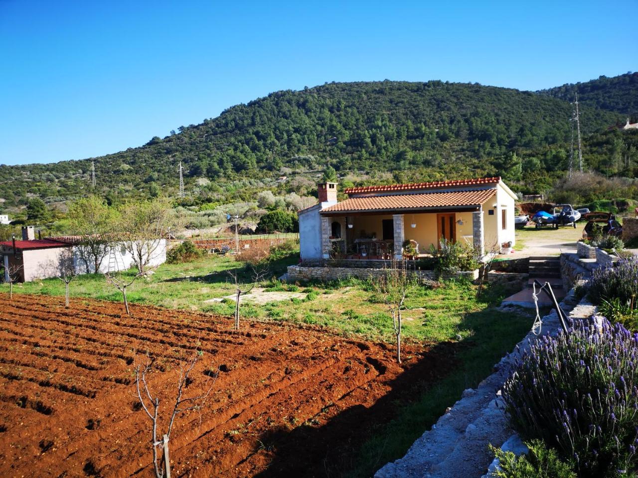 Holiday Home Cvitka Vis Exterior photo
