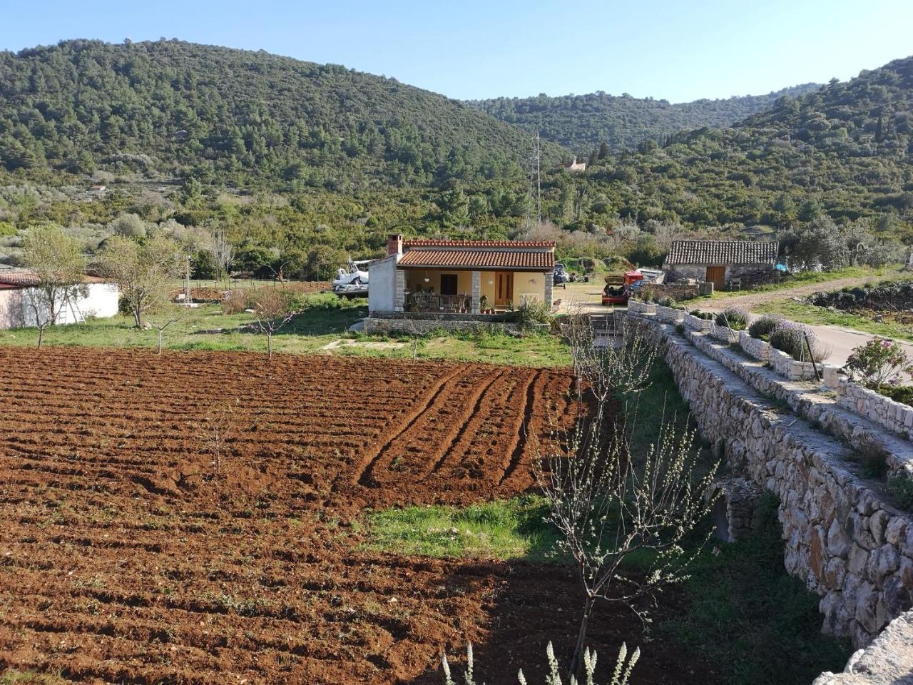 Holiday Home Cvitka Vis Exterior photo